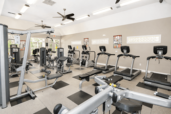 Fitness & cardio studio with free weights